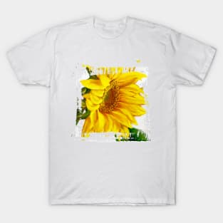 Sunflower abstract T-Shirt